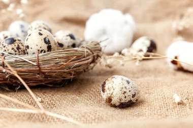 Paskalya yumurta yuva ve kahverengi rustik keten tuval zemin üzerine Pamuk ile dekorasyon. Paskalya kavramı. Düz yatıyordu üstten görünüm kopya alanı. Bahar tebrik kartı