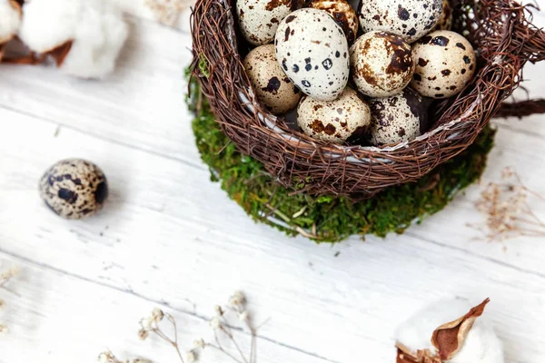 Pasen Decoratie Met Nesten Cup Katoen Witte Houten Achtergrond Pasen — Stockfoto