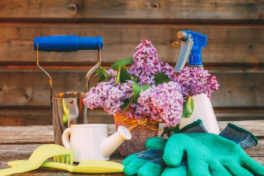 Bahçe araçları, sulama olabilir, kürek, kürek, budayıcı, komisyon, eldiven, ahırda ahşap masaya Lila çiçek. Bahar ya da yaz bahçesinde. Çevre doğa Bahçe Bitkileri hobi kavramı arka plan