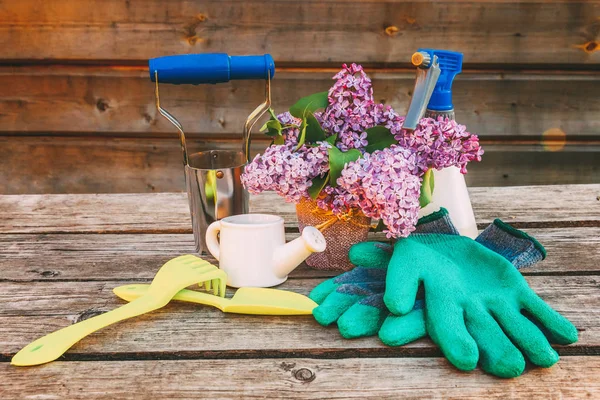 Attrezzi Giardinaggio Annaffiatoio Pala Vanga Potatore Rastrello Guanto Fiori Lilla — Foto Stock