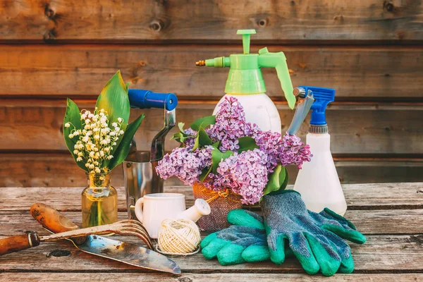 Attrezzi Giardinaggio Annaffiatoio Pala Vanga Potatore Rastrello Guanto Fiori Lilla — Foto Stock