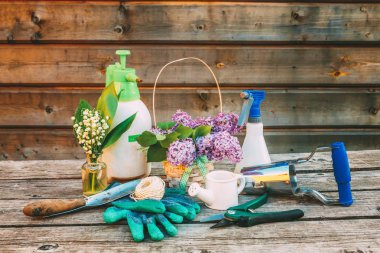 Bahçe araçları, sulama olabilir, kürek, kürek, budayıcı, komisyon, eldiven, ahırda ahşap masaya Lila çiçek. Bahar ya da yaz bahçesinde. Çevre doğa Bahçe Bitkileri hobi kavramı arka plan