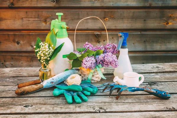 Attrezzi Giardinaggio Annaffiatoio Pala Vanga Potatore Rastrello Guanto Fiori Lilla — Foto Stock