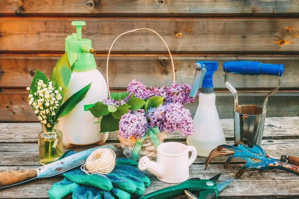 Attrezzi Giardinaggio Annaffiatoio Pala Vanga Potatore Rastrello Guanto Fiori Lilla — Foto Stock