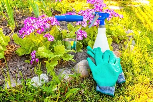 Gardening Tools Shovel Spade Pruner Rake Glove Primrose Flower Bed — Stock Photo, Image