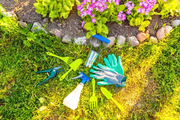 Gardening Tools Shovel Spade Pruner Rake Glove Primrose Flower Bed — Stock Photo, Image