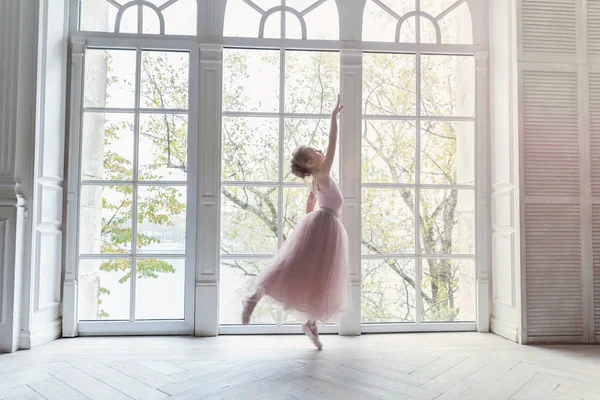 Jeune Danseuse Classique Cours Danse Belle Ballerine Gracieuse Pratique Des — Photo