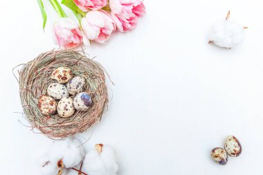 Bahar tebrik kartı. Paskalya yumurtaları içinde iç içe pamuk ve pembe taze Lale çiçek buketi beyaz rustik ahşap zemin üzerinde. Paskalya kavramı. Düz yatıyordu üstten görünüm kopya alanı. Bahar çiçekler