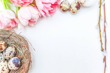 Bahar tebrik kartı. Paskalya yumurtaları içinde iç içe pamuk söğüt dalı ve pembe taze Lale çiçek buketi beyaz rustik ahşap zemin üzerinde. Paskalya kavramı. Düz yatıyordu üstten görünüm kopya alanı. Bahar çiçekler