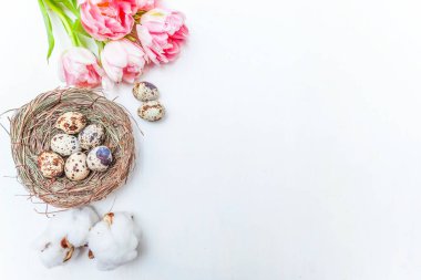 Bahar tebrik kartı. Paskalya yumurtaları içinde iç içe pamuk ve pembe taze Lale çiçek buketi beyaz rustik ahşap zemin üzerinde. Paskalya kavramı. Düz yatıyordu üstten görünüm kopya alanı. Bahar çiçekler