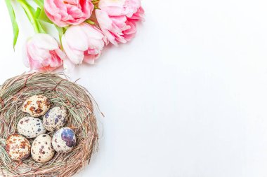 Bahar tebrik kartı. Paskalya yumurtaları içinde iç içe pamuk ve pembe taze Lale çiçek buketi beyaz rustik ahşap zemin üzerinde. Paskalya kavramı. Düz yatıyordu üstten görünüm kopya alanı. Bahar çiçekler