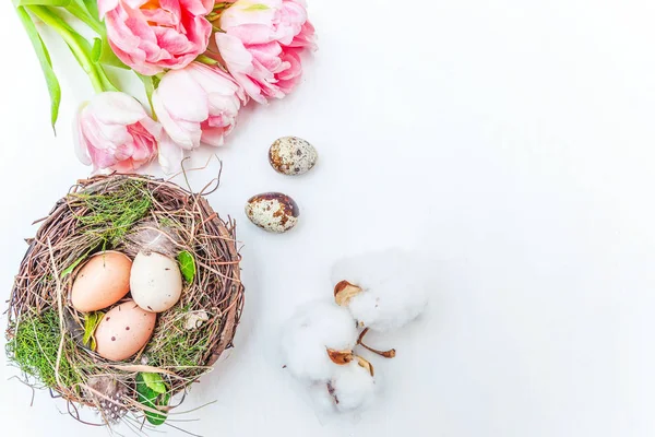 Bahar tebrik kartı. Paskalya yumurtaları içinde iç içe pamuk ve pembe taze Lale çiçek buketi beyaz rustik ahşap zemin üzerinde. Paskalya kavramı. Düz yatıyordu üstten görünüm kopya alanı. Bahar çiçekler