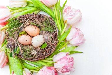 Bahar tebrik kartı. Paskalya yumurta yuva ve pembe taze Lale çiçek buketi beyaz rustik ahşap zemin üzerinde. Paskalya kavramı. Düz yatıyordu üstten görünüm kopya alanı. Bahar çiçekler