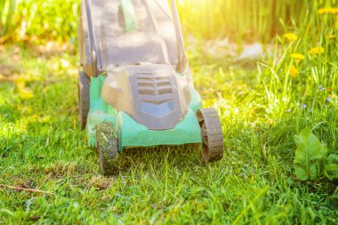 Çim biçme makinesi arka bahçesinde yeşil çim kesme