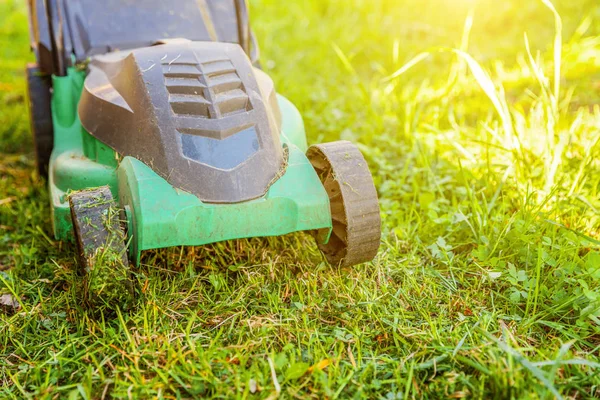 Lawn mower cutting green grass in backyard