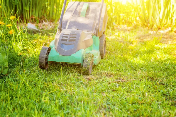 Lawn mower cutting green grass in backyard — Stock Photo, Image