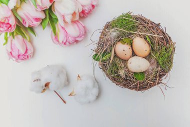 Paskalya yumurta yuva yosun ve pembe taze Lale kokulu beyaz rustik ahşap zemin üzerinde
