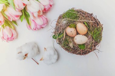 Paskalya yumurta yuva yosun ve pembe taze Lale kokulu beyaz rustik ahşap zemin üzerinde