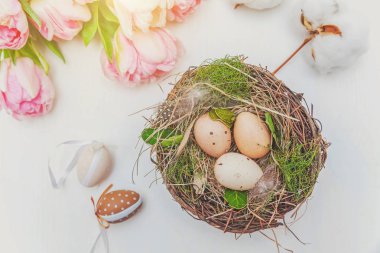 Paskalya yumurta yuva yosun ve pembe taze Lale kokulu beyaz rustik ahşap zemin üzerinde