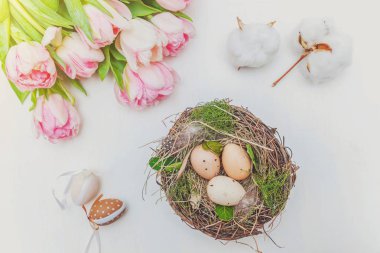 Paskalya yumurta yuva yosun ve pembe taze Lale kokulu beyaz rustik ahşap zemin üzerinde