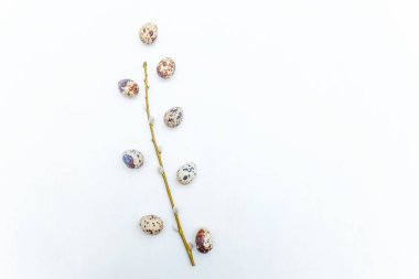 Paskalya yumurtaları ve rustik Beyaz ahşap arka plan söğüt dalına