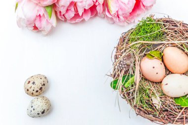 Paskalya yumurta yuva ve rustik Beyaz ahşap zemin üzerinde pembe taze Lale buketi