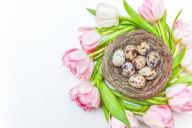 Paskalya yumurta yuva ve rustik Beyaz ahşap zemin üzerinde pembe taze Lale buketi