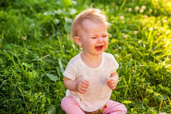 Çayır çimen Park, Bahçe, oturup ağlayan çığlık küçük bebek kız
