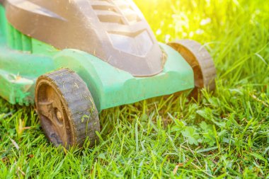 Çim biçme makinesi arka bahçesinde yeşil çim kesme