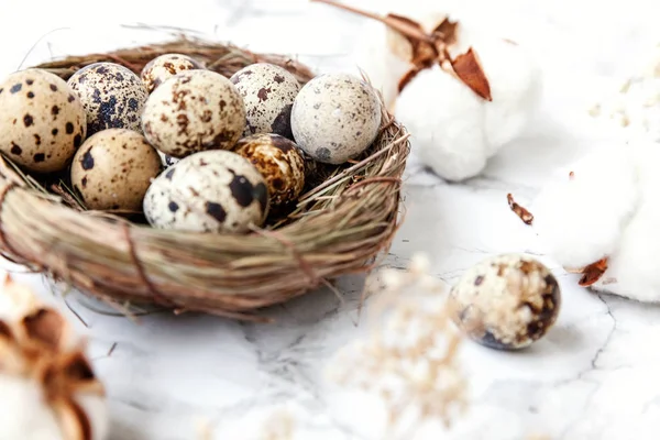 Pasen decoratie met ei in nesten en katoen op witte marmeren achtergrond — Stockfoto