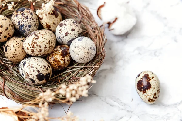 Pasen decoratie met ei in nesten en katoen op witte marmeren achtergrond — Stockfoto