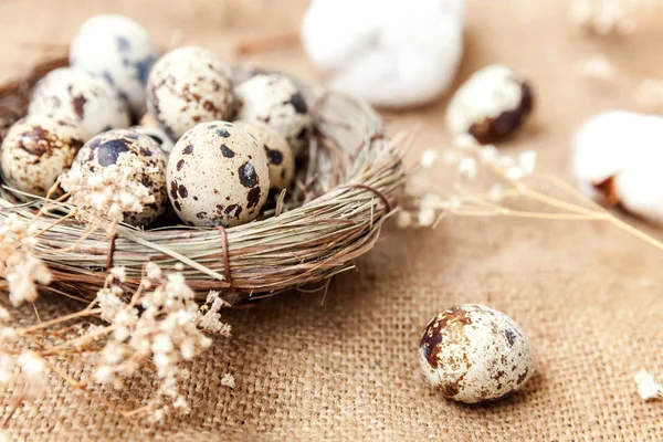 Pasen decoratie met ei in nesten en katoen op witte marmeren achtergrond — Stockfoto