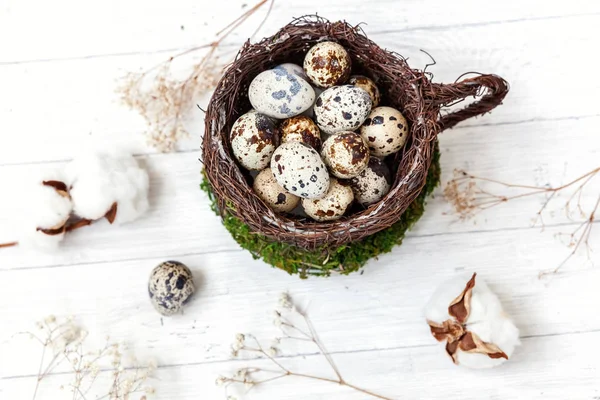 Påsk dekoration med ägg i boet cup och bomull på vit marmor bakgrund — Stockfoto