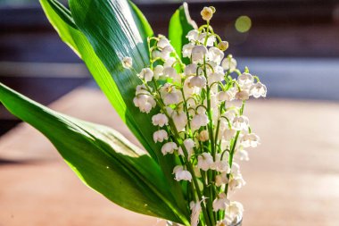 Lily vadi veya Mayıs-lily