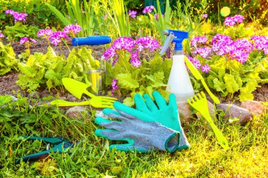 Bahçecilik aletleri çiçek yatak zemin üzerine