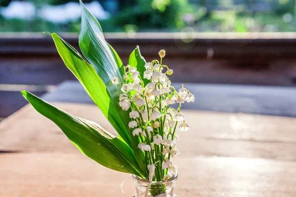 Liljekonvalj eller maj-lily — Stockfoto