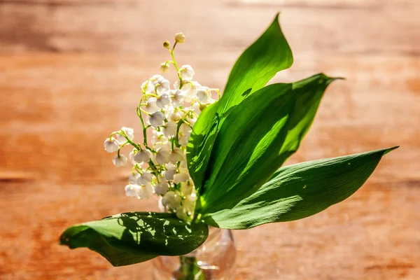 Liljekonvalj eller maj-lily — Stockfoto