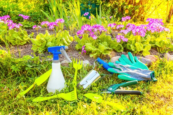 Gardening tools on flower bed background — Stock Photo, Image