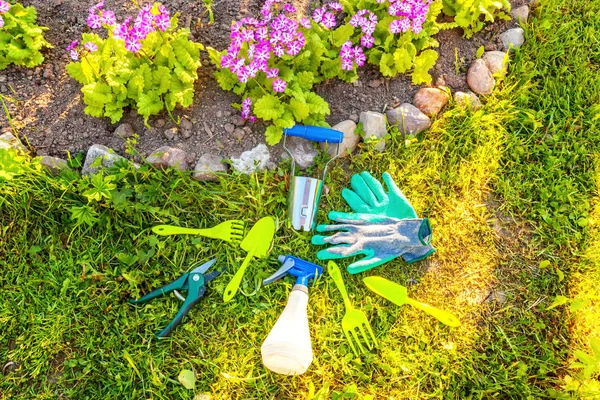 Ferramentas de jardinagem no fundo do canteiro de flores — Fotografia de Stock