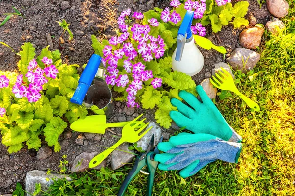 Gardening tools on flower bed background — Stock Photo, Image