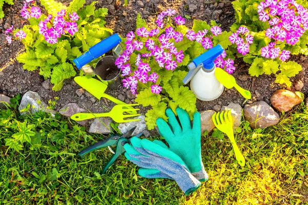 Інструменти для садівництва на квітковому фоні — стокове фото