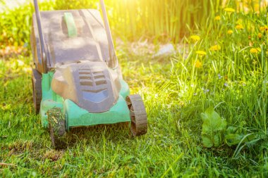 Çim biçme makinesi arka bahçesinde yeşil çim kesme