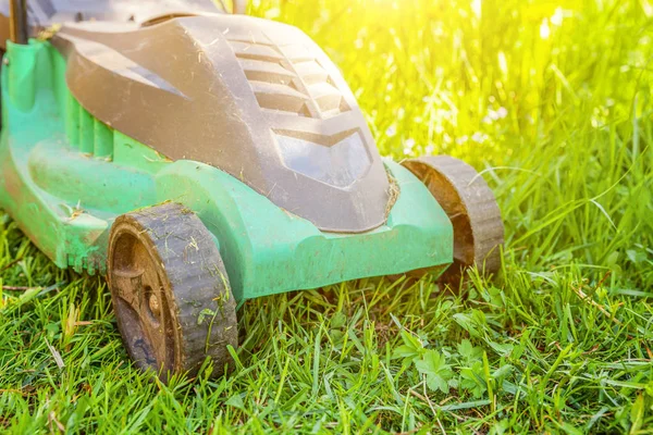 뒷마당에서 푸른 잔디를 절단 하는 잔디 깎는 기계 — 스톡 사진