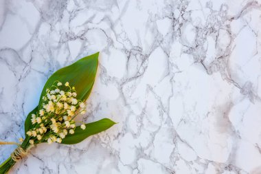 Lily vadi veya Mayıs-lily mermer zemin üzerine