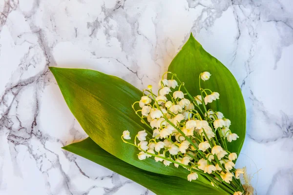 Liljekonvalj eller maj-lily på marmor bakgrund — Stockfoto