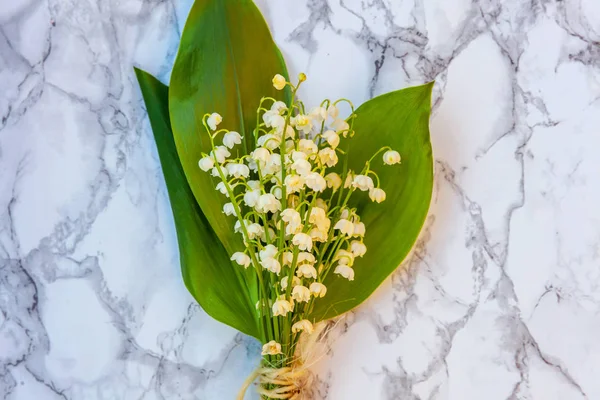 Liljekonvalj eller maj-lily på marmor bakgrund — Stockfoto