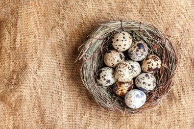 Beyaz mermer zemin üzerine yuvadaki yumurta Paskalya dekorasyon