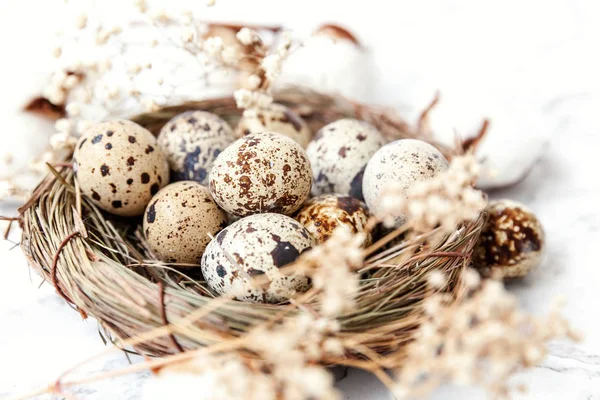 Easter decoration with egg in nest and cotton on white marble background — Stock Photo, Image