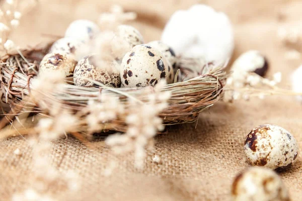 Пасхальное украшение с яйцом в гнезде и хлопок на белом мраморном фоне — стоковое фото