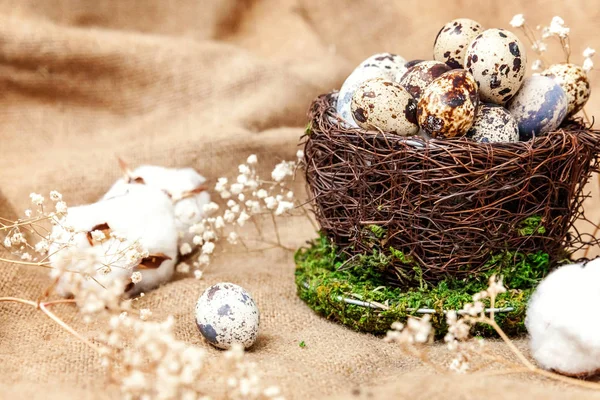 复活节装饰与蛋在巢和棉花在白色大理石背景 — 图库照片